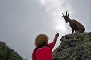 Al Lago Rotondo di Trona (2256 m) e sul Pizzo Paradiso (2493 m) il 15 luglio 2015 - FOTOGALLERY